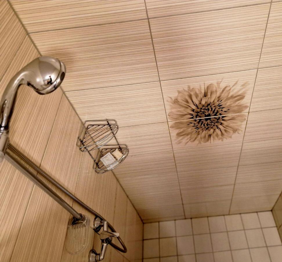 Linos Apartamentai Druskininkai Bagian luar foto